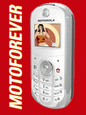 Motorola W200