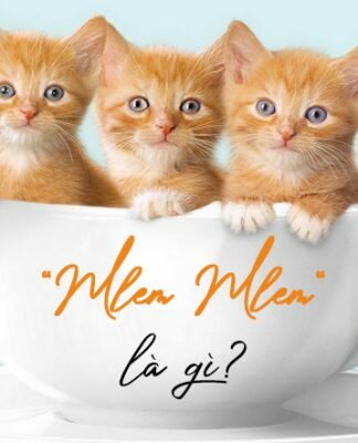 Mlem mlem là gì?