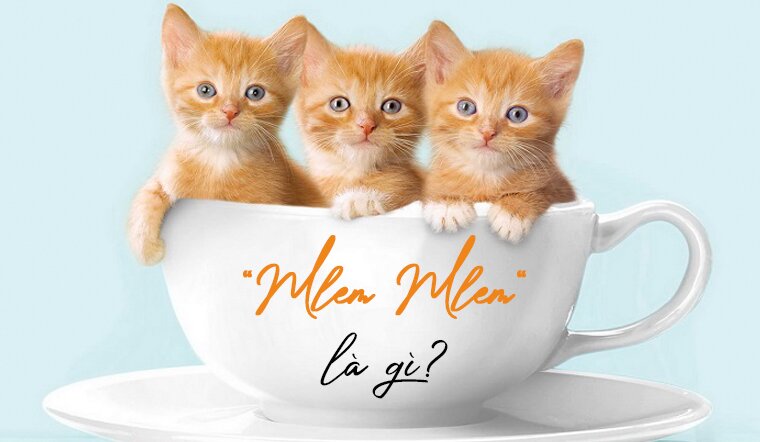 Mlem mlem là gì?