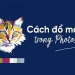 Tô Màu Vùng Chọn Trong Photoshop Cực Đơn Giản Và Chuyên Nghiệp